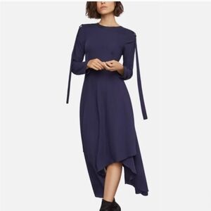 BCBGMaxAzria Deep Blue Long Sleeve Dress